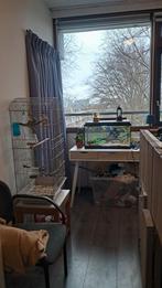 Aquarium 60 liter met licht en verwarming, Ophalen of Verzenden, Zo goed als nieuw, Leeg aquarium