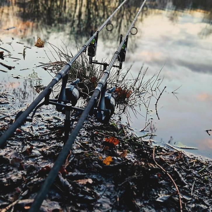 3x Shimano TX4 10ft 3lbs Karperhengels, Watersport en Boten, Hengelsport | Karpervissen, Ophalen of Verzenden