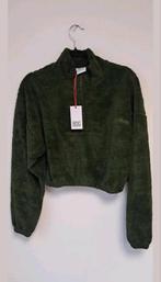 BDG Urban Outfitters Cropped Fleece Trui Groen