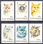 Roemenie 1993 pf mi 4885 - 4890 katten, Verzenden, Postfris, Dier of Natuur