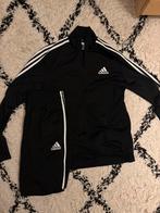 Adidas Trainingspak Zwart - Maat L, Ophalen, Zwart, Gedragen, Maat 42/44 (L)