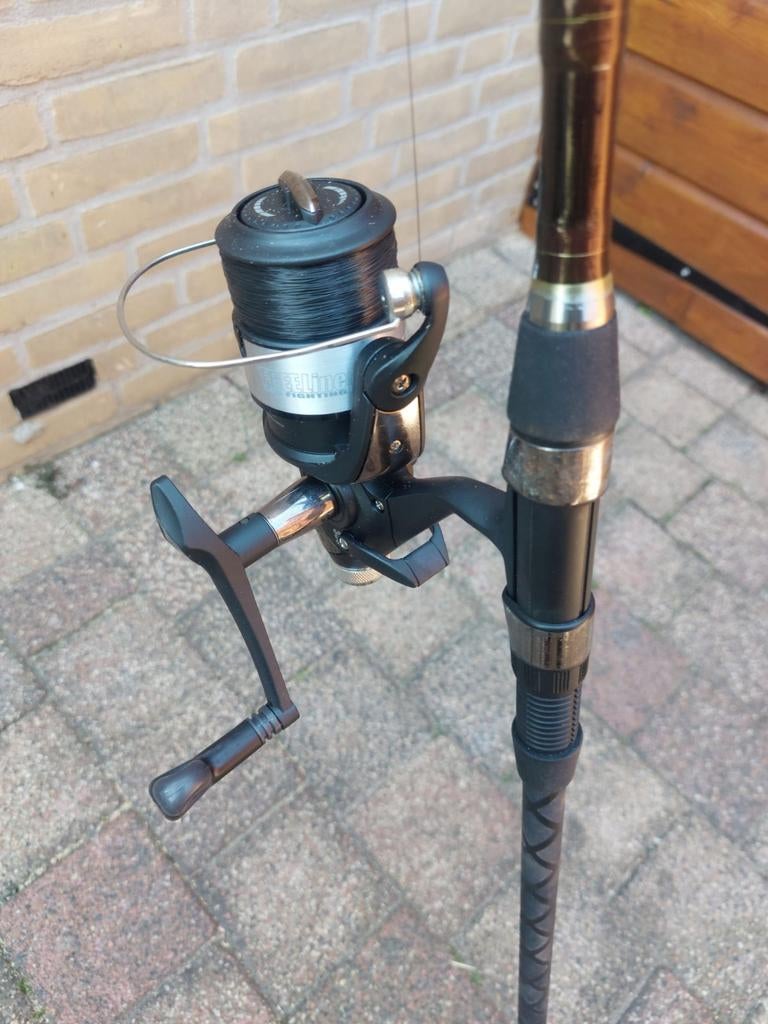 2 Karperhengels met molens, Watersport en Boten, Hengelsport | Karpervissen, Ophalen