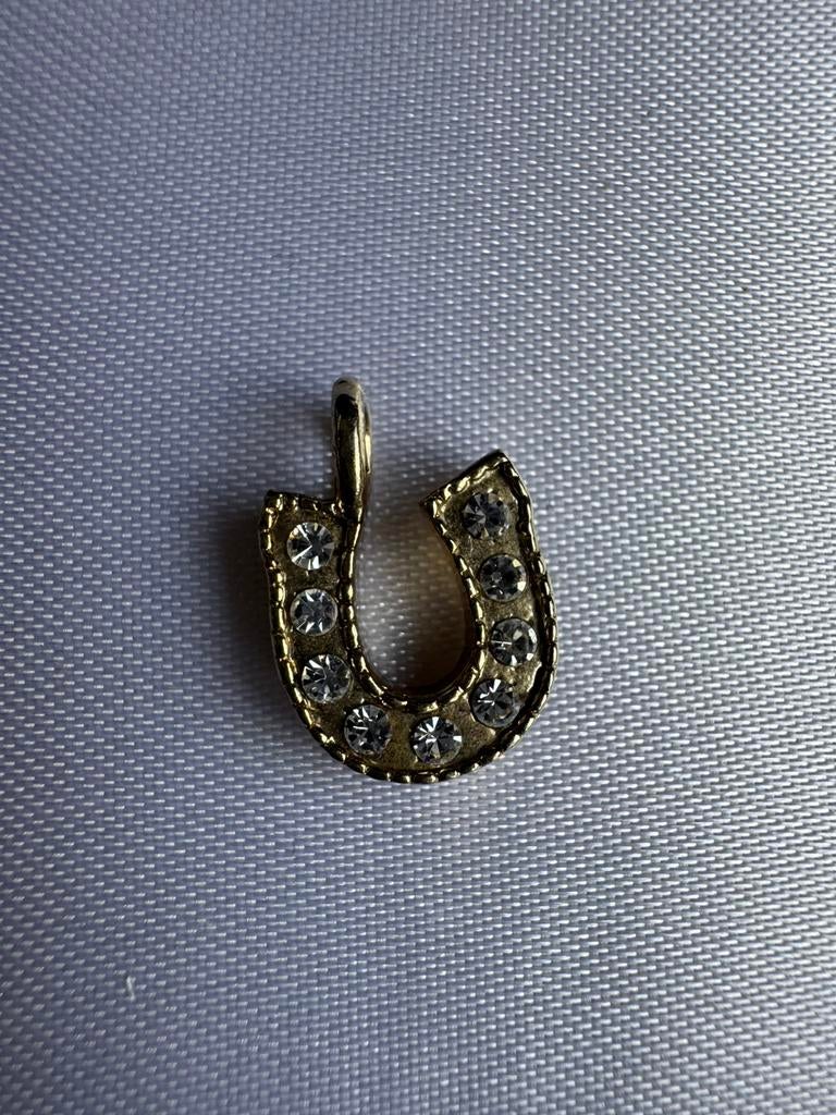 Juicy Couture Lucky Horseshoes Rhinestone charm, pendant, Verzenden, Gebruikt, Zilver, Overige materialen