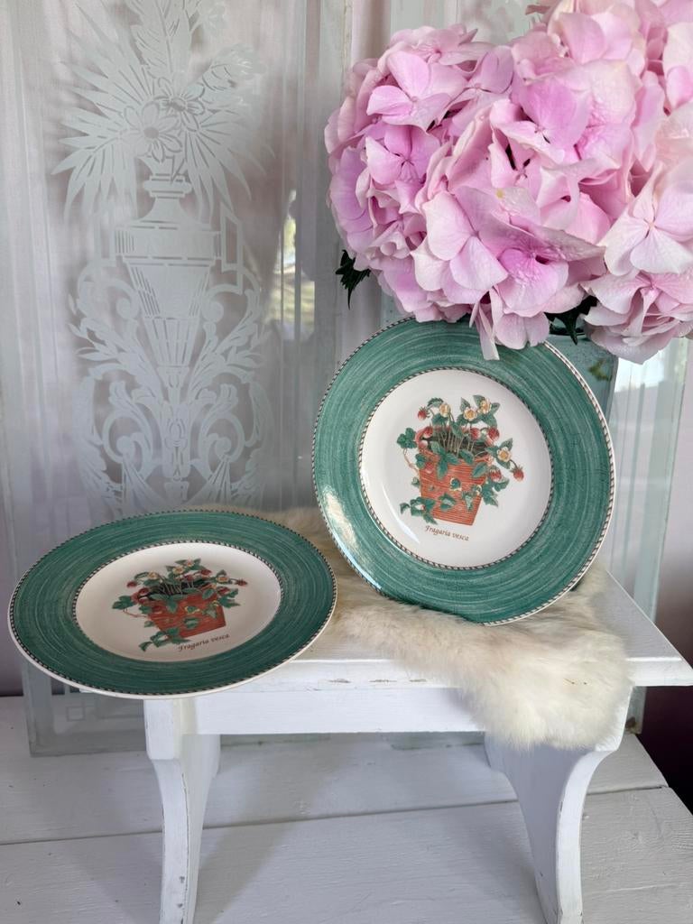 Sarah’s Garden ontbijt borden 2 stks izgst wedgewood, Verzamelen, Ophalen, Zo goed als nieuw, Porselein, Kop en/of schotel
