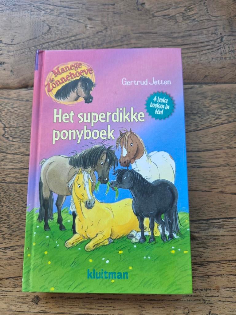 Gertrud Jetten - Het superdikke ponyboek, Fictie algemeen, Ophalen of Verzenden, Zo goed als nieuw, Gertrud Jetten