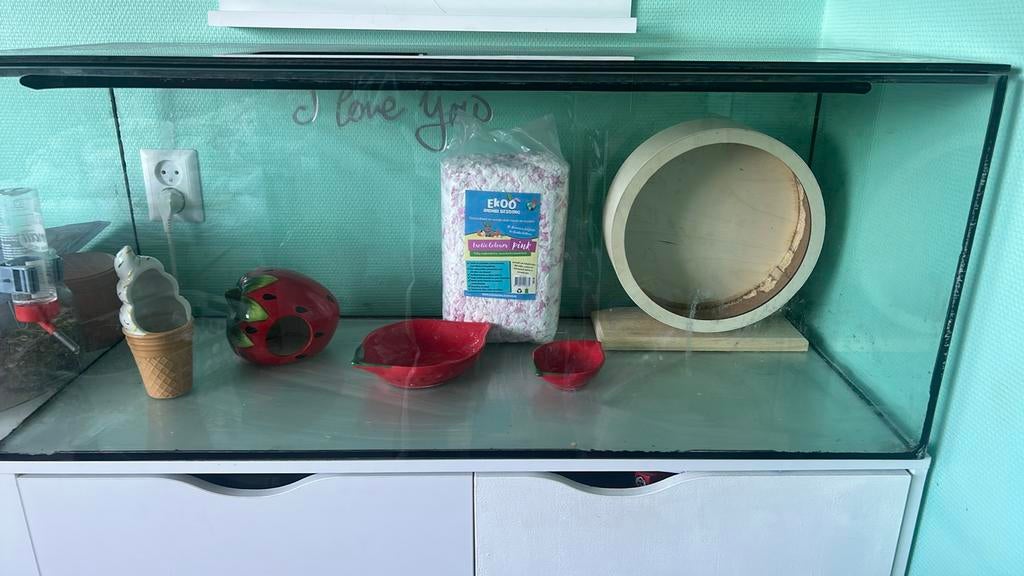 Hamsterhok/terraruim, Dieren en Toebehoren, Gebruikt, Minder dan 75 cm, Ophalen, Minder dan 60 cm