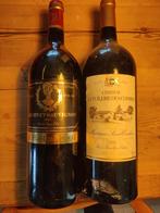 magnum la Pauline 2001 en Chateau La Tuileries des combes, Verzamelen, Wijnen, Ophalen of Verzenden, Frankrijk, Rode wijn