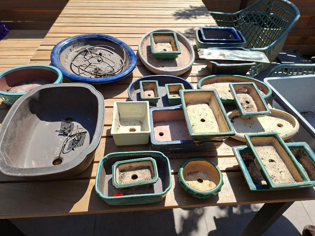 diverse bonsai potten en schalen, Ophalen, Zo goed als nieuw, Balkon, Overige vormen
