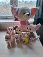 Chihuahua knuffel setje, Ophalen, Overige typen