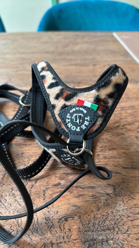 Tre Ponti kattentuig, luipaard / panter. Kattentuigje, Dieren en Toebehoren, Katten-accessoires, Zo goed als nieuw, Ophalen of Verzenden