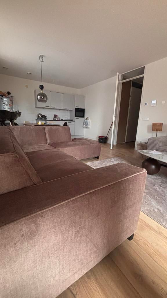 Nieuwe Luxe Taupe Velvet Hoekbank met Chaise Longue, Ophalen, 250 tot 300 cm, Nieuw, Vierpersoons of meer
