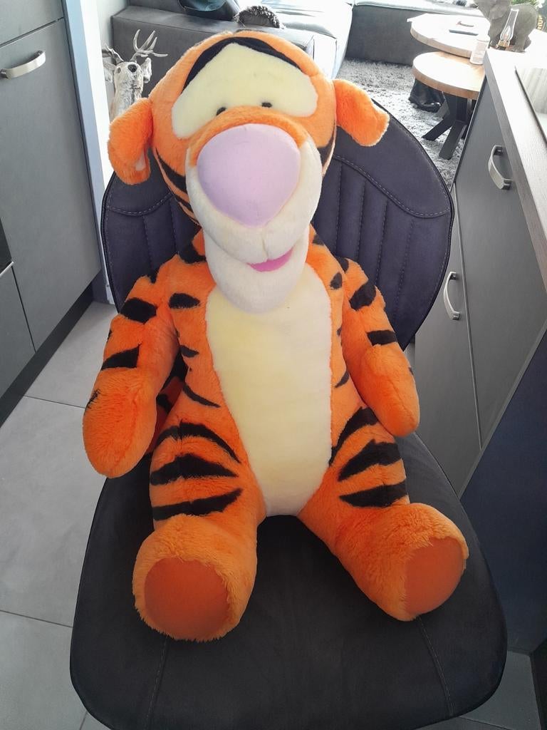 Tijgertje, Ophalen of Verzenden, Overige typen