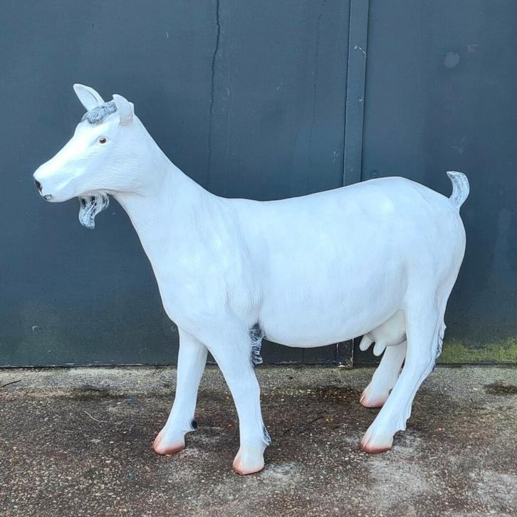 Beeld koe, polyester geit, varken, lammetje, beeld kalf, Tuin en Terras, Tuinbeelden, Nieuw, Dierenbeeld, Kunststof, Ophalen