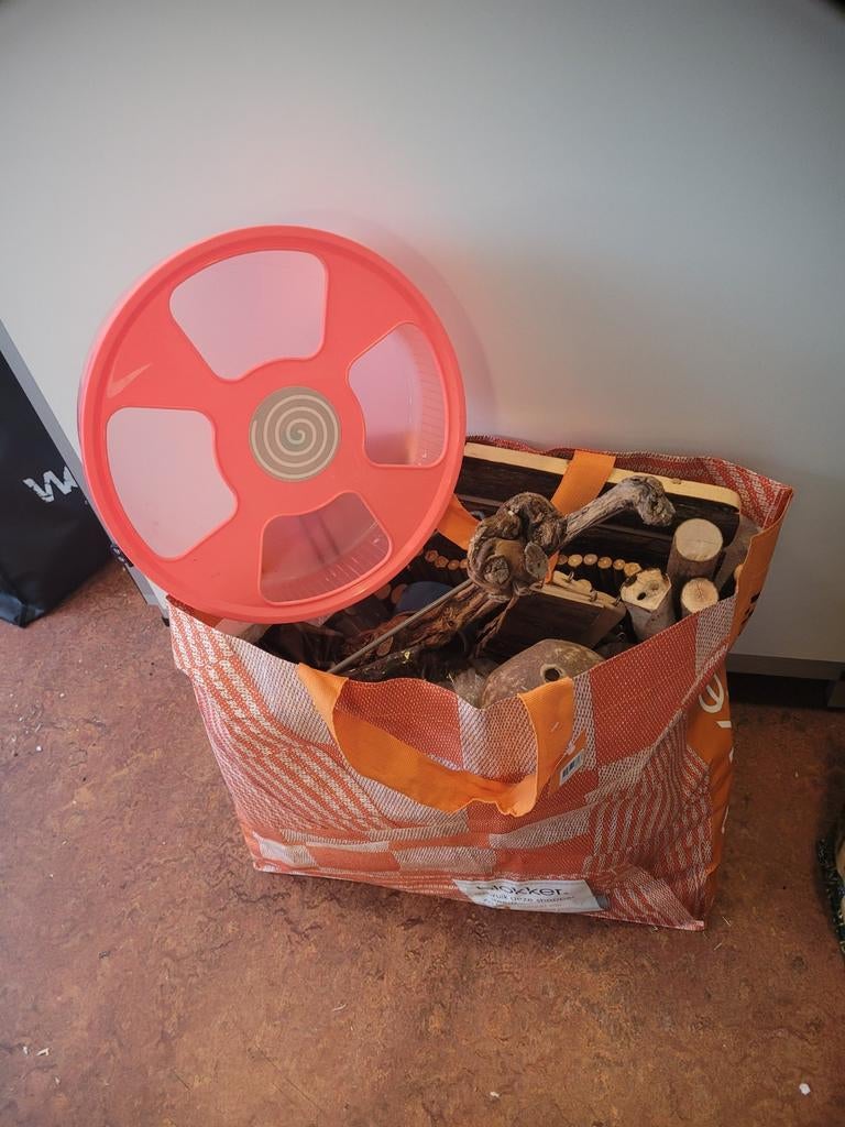 Verrassingstas syrische hamster/goudhamster, Ophalen of Verzenden