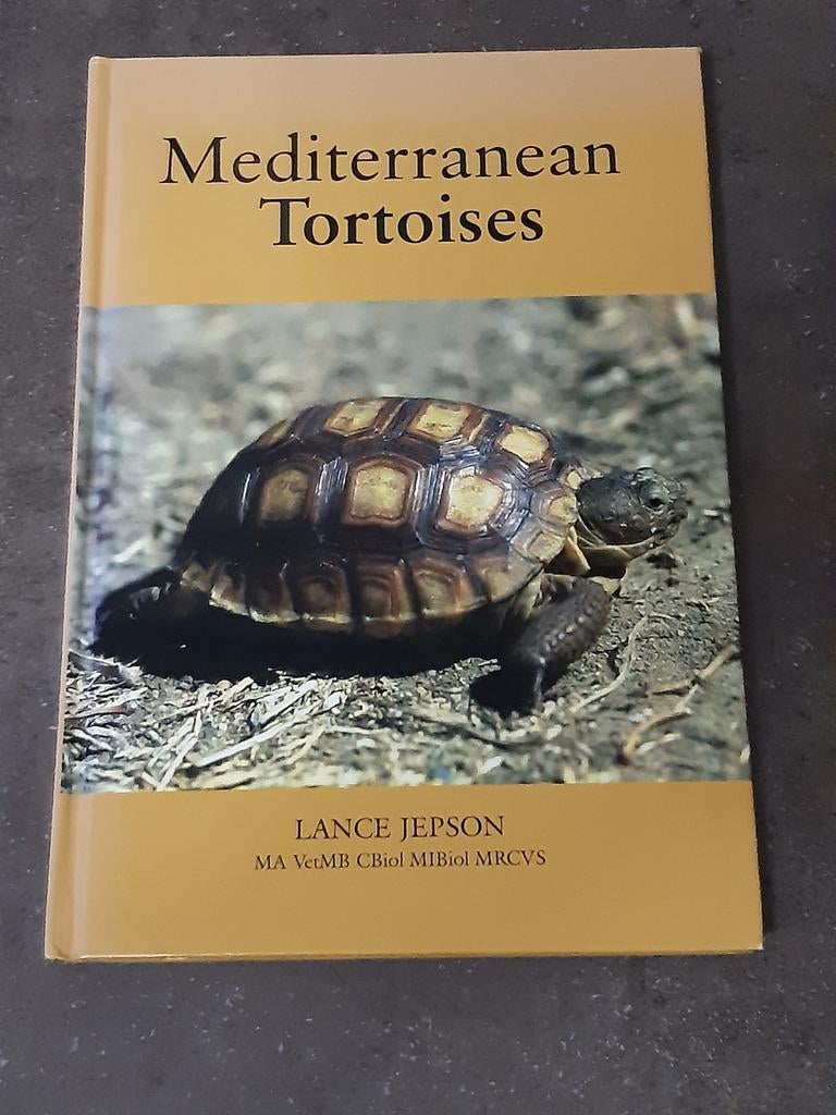 Mediterranean tortoises / land schildpadden nieuwstaat, Ophalen of Verzenden, Zo goed als nieuw, Katten