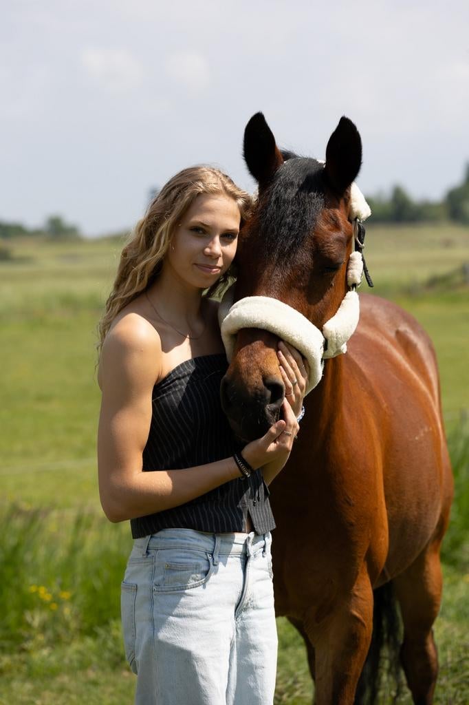 Verzorgpony/paard Gezocht, Ophalen of Verzenden
