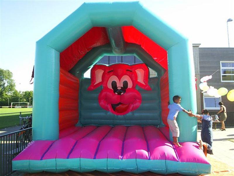 Springkussen met vrolijk hondenthema, Kinderen en Baby's, Speelgoed | Buiten | Springkussens, Zo goed als nieuw, Ophalen of Verzenden