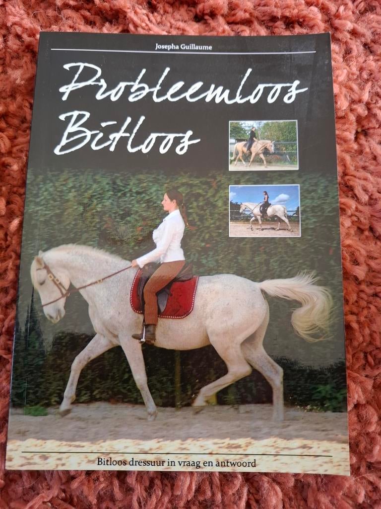 Probleemloos Bitloos, Ophalen of Verzenden, Dressuur