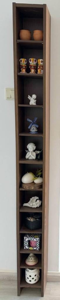Smalle hoge kast, Huis en Inrichting, Kasten | Boekenkasten, Ophalen, Met plank(en), Minder dan 50 cm, 200 cm of meer