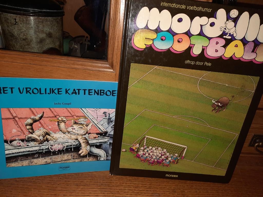 2 humoristische illustratie boeken Mordillo football, katten, Ophalen of Verzenden, Azië