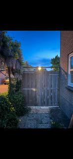 Tuindeuren van hout, Gebruikt, Buitendeur, 200 tot 215 cm, Hout