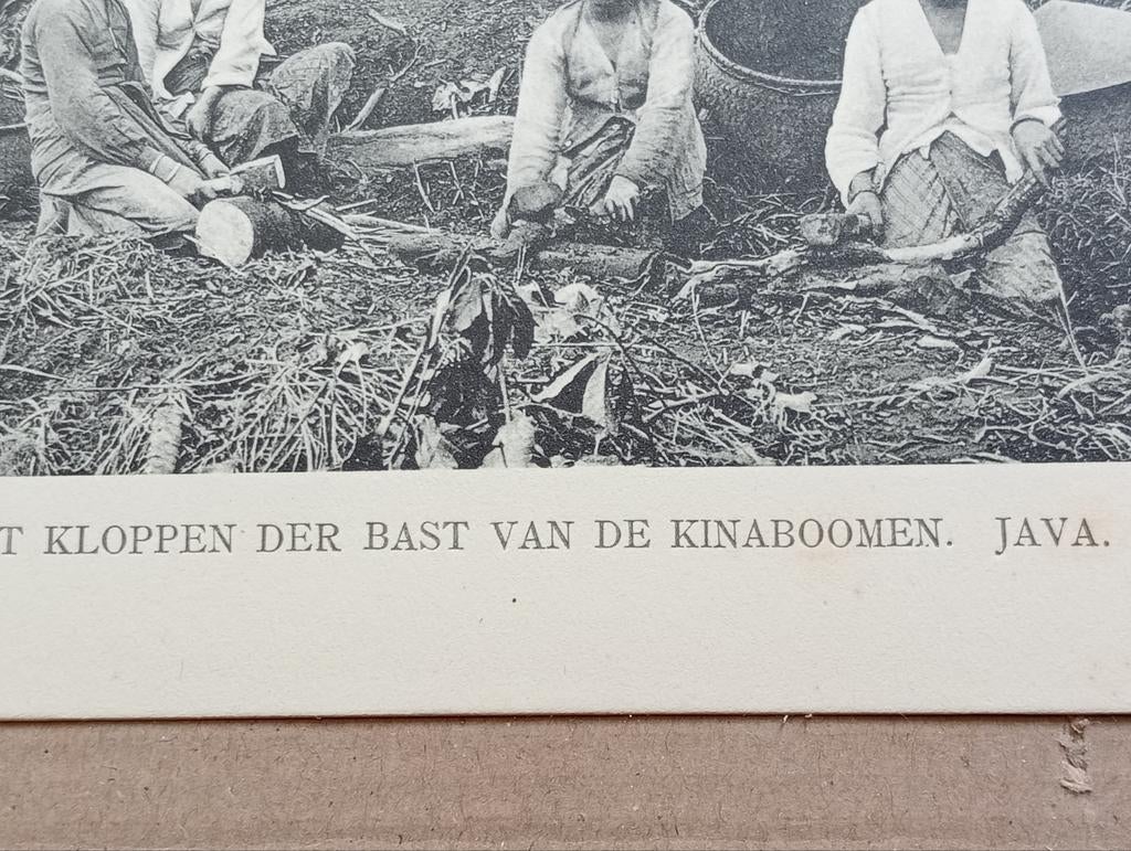 Foto gravure Nederlands Indië Indonesië 1910, Verzamelen, Ophalen of Verzenden, Voor 1940, Zo goed als nieuw, Buitenland