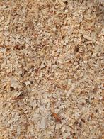 Zaagsel / Houtsnippers, Tuin en Terras, Haardhout, Minder dan 3 m³, Ophalen