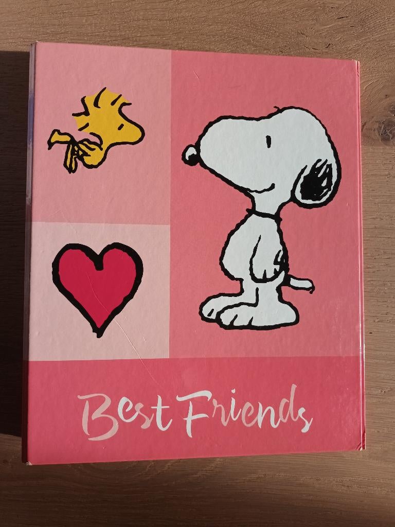 Ringband map ringbandmap Snoopy 23 rings 23-rings, Diversen, Schoolbenodigdheden, Ophalen of Verzenden, Gebruikt