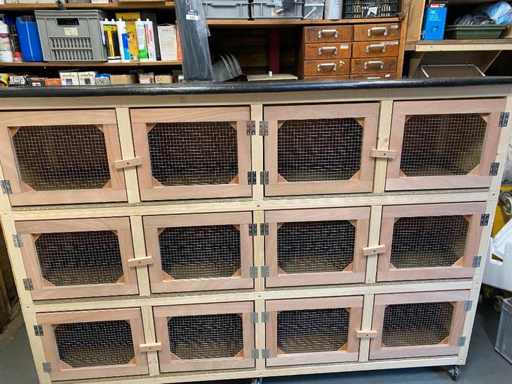 Flat 6 hokken, Dieren en Toebehoren, Knaagdieren en Konijnen | Hokken en Kooien, Nieuw, Hok, 90 cm of meer, 110 cm of meer, Cavia