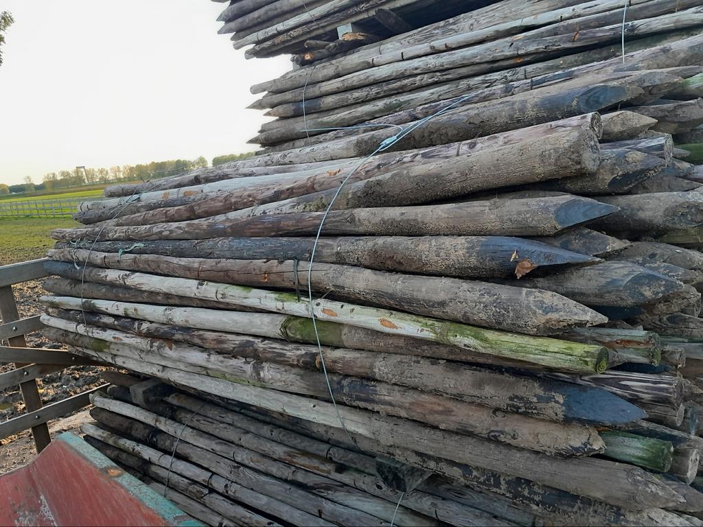 Houten palen (gecreosoteerd), Tuin en Terras, Ophalen, Zo goed als nieuw, 250 cm of meer, Balken