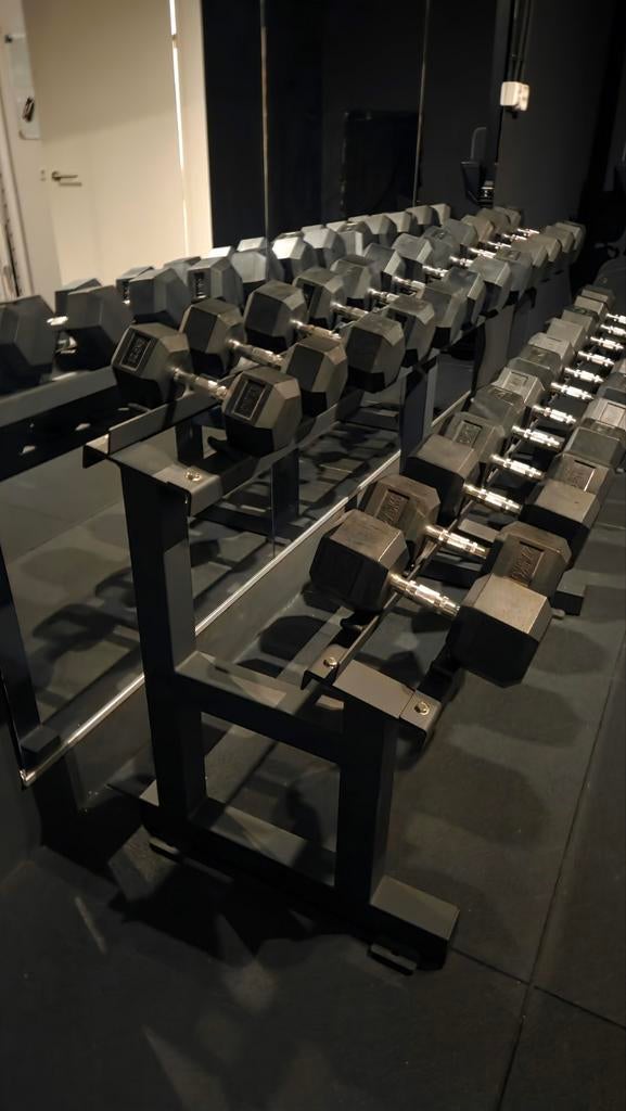 Stevig 2-tier dumbbell rek voor 24 dumbbells, Ophalen, Zo goed als nieuw, Dumbbell