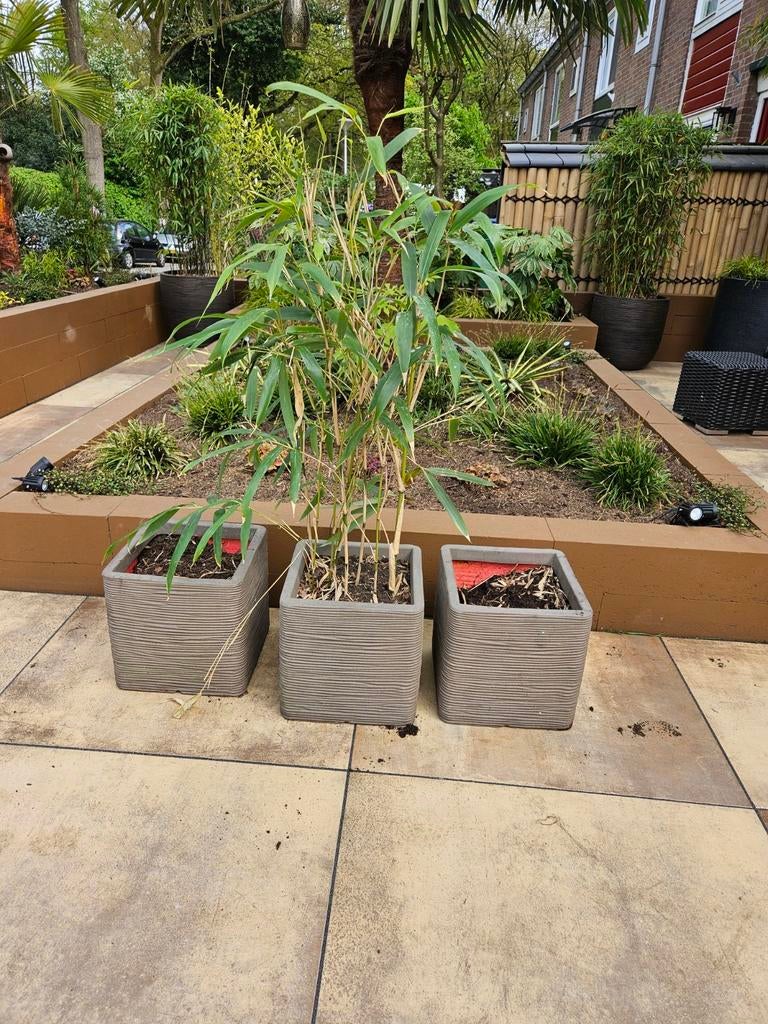 Capi bloempotten, bloembakken 3x30 Warm taupe als nieuw, Ophalen, Kunststof, Zo goed als nieuw, Overige vormen