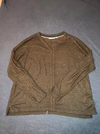 Broadway NYC Fashion bruin trui, maat S, Kleding | Dames, Zwart, Ophalen of Verzenden, Zo goed als nieuw, Maat 36 (S)