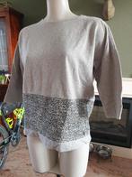Anna leuke grijze trui mt S 36 truitje, Maat 36 (S), Grijs, Gedragen, Anna