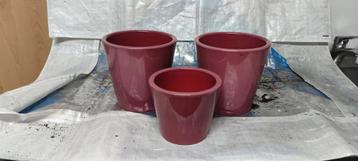 Lila/Paarse Bloempotten - Set van 3 beschikbaar voor biedingen