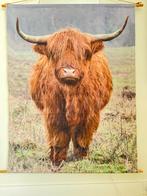 Wanddecoratie Schotse Hooglander, Huis en Inrichting, Ophalen, Gebruikt