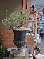 Gietijzeren tuinvaas, Ophalen, Gebruikt, 2j.brabant@gmail.com, 2j