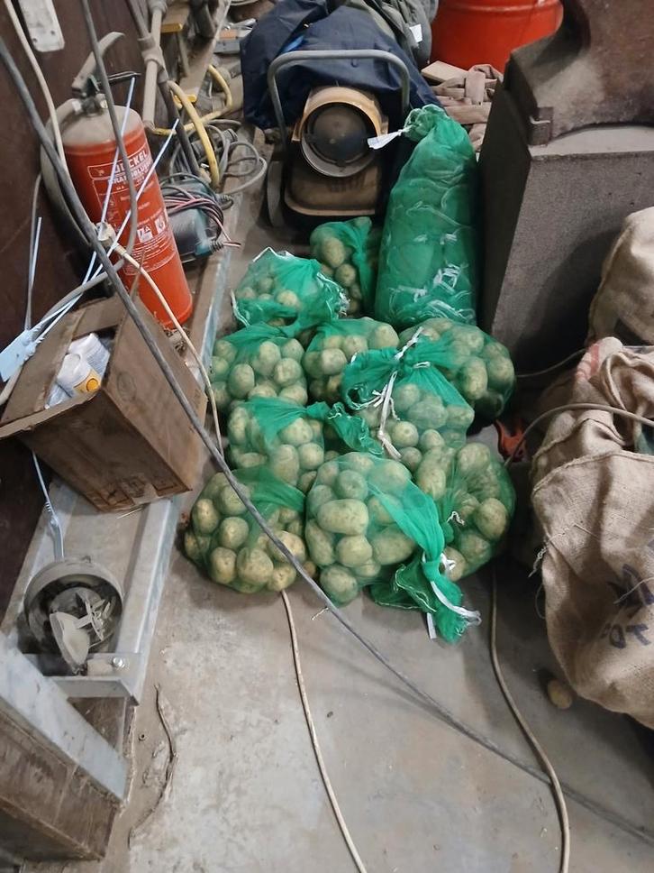 Agria aardappelen, Diversen, Levensmiddelen, Ophalen