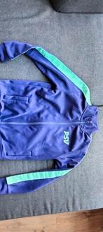 Psv vestje maat 146, Ophalen of Verzenden, Zo goed als nieuw, Meisje, Trui of Vest