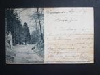 Ansichtkaart Wageningen Holleweg 1899 !!!, Ophalen of Verzenden, Voor 1920, Gelopen, Gelderland