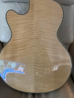 Epiphone Gitaar - Prachtige Hollow Body!, Muziek en Instrumenten, Snaarinstrumenten | Gitaren | Elektrisch, Ophalen, Zo goed als nieuw