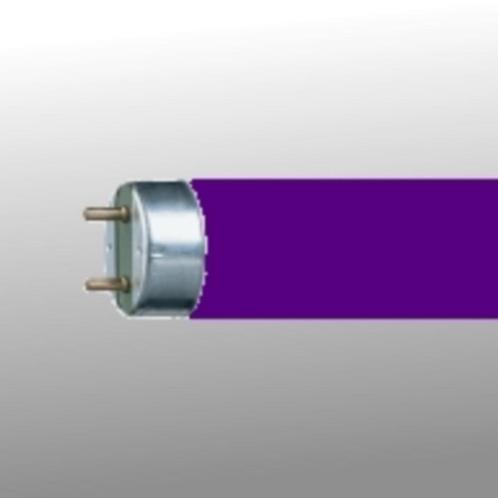 TL Lampen, Huis en Inrichting, Lampen | Losse lampen, Nieuw, Overige typen, 30 tot 60 watt, Overige fittingen, Ophalen of Verzenden