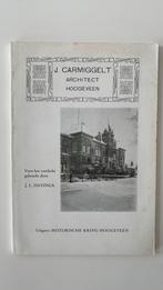 J.L. Havinga Carmiggelt architect Hogeveen historische kring, Boeken, Geschiedenis | Stad en Regio, Ophalen of Verzenden, Gelezen