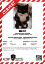 Vermist onze lieve  poes Bella, Dieren en Toebehoren, Vermiste en Gevonden Dieren
