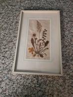 Schilderij uit kunsthandel!, Ophalen, Minder dan 50 cm, Zo goed als nieuw, Minder dan 50 cm