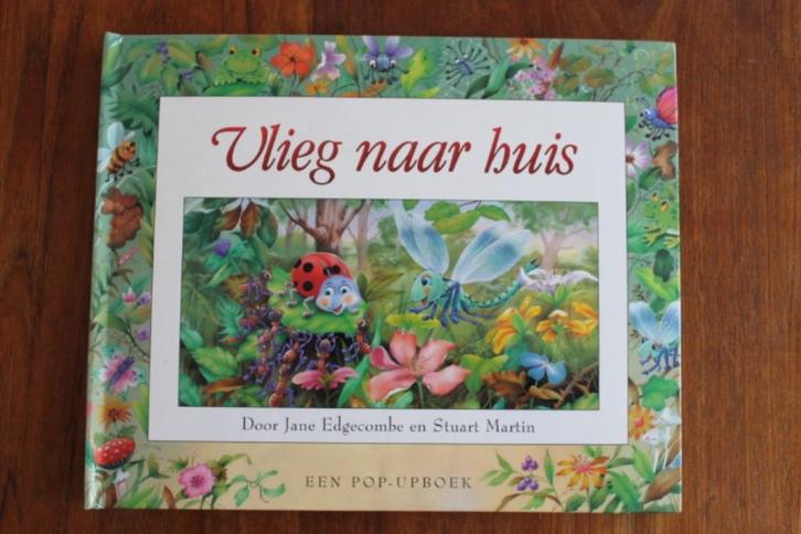 3D Pop-upboek Vlieg naar Huis (lieveheersbeestje), Boeken, Kinderboeken | Jeugd | onder 10 jaar, Gelezen, Fictie algemeen, Ophalen of Verzenden