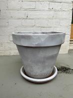 1 x terracotta bloemenpot met schotel, Gebruikt, Tuin, Rond, Minder dan 40 cm