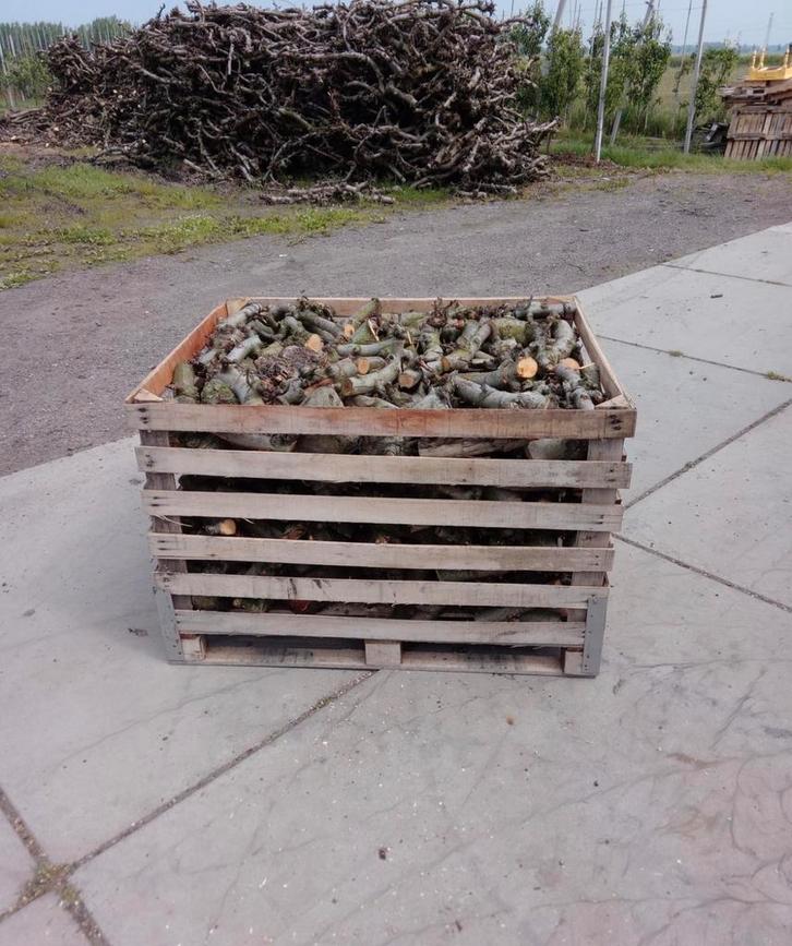 Appelhout - 0,8 kuub - Ideaal voor de kachel & open haard, Tuin en Terras, Haardhout, Takken, Overige houtsoorten, Minder dan 3 m³