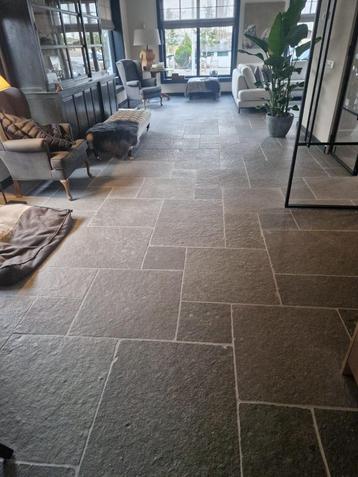 Bourgondische Dallen vanaf € 29,95 p/m2 beschikbaar voor biedingen
