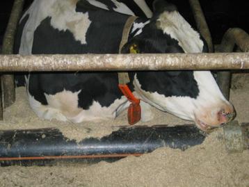 PE Knieboombuis , buis PVC 90 110 125 160 200 250 Knieboom beschikbaar voor biedingen